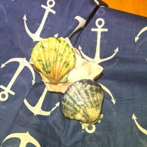 Costal Decor / Two Hand-Dipped Marble Seashells